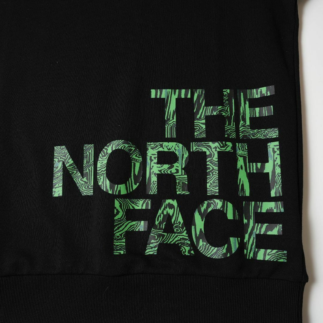 THE NORTH FACE(ザノースフェイス)の新品 THE NORTH FACE M BLOWN UP LOGO CREW メンズのトップス(スウェット)の商品写真