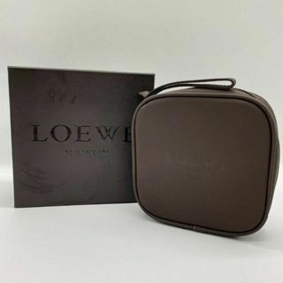 ロエベ(LOEWE)の✨化粧箱付き✨極美品✨LOEWE　ロエベ　アクセサリーポーチ　バニティ　ブラウン(ボディバッグ/ウエストポーチ)