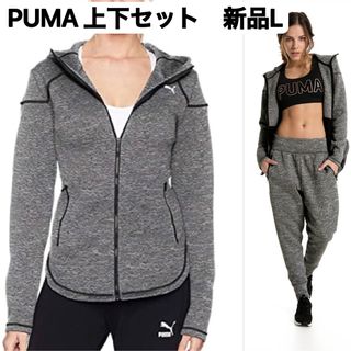 新品L PUMA ノクターナル ウィンタライズドジャケット&パンツの上下セット