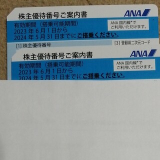 ANA株主優待券　2枚有効期限　2024年5月31日(航空券)