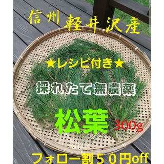 うめりん様専用★信州軽井沢産 上質赤松松の葉300g 松葉茶松ジュース 松葉(野菜)