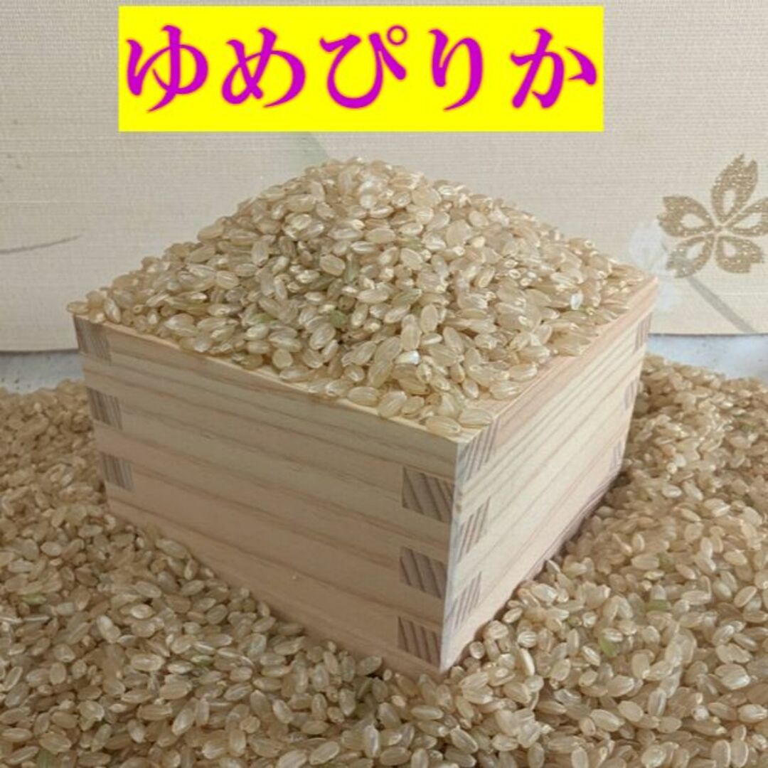 【送料無料】ゆめぴりか　１等米　玄米5キロ　特A北海道米　令和５年産　農家直送 食品/飲料/酒の食品(米/穀物)の商品写真