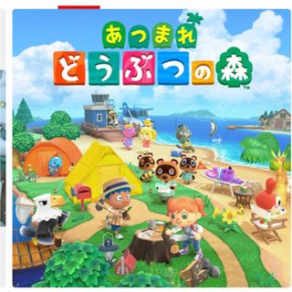 ニンテンドースイッチ(Nintendo Switch)のオリハルコン様専用(シングルカード)