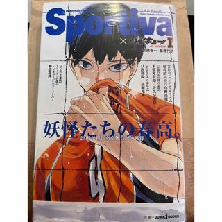 ハイキュー ショーセツバン 小説 1巻 影山(文学/小説)