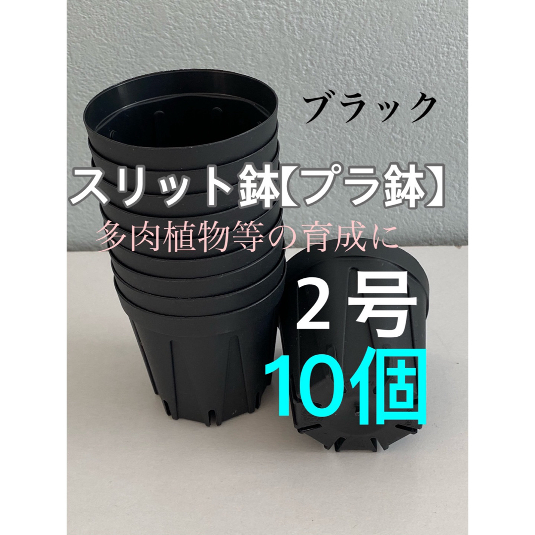 【スリット鉢】プラ鉢直径6cm 2号　10個セット【新品】ブラック ハンドメイドのフラワー/ガーデン(プランター)の商品写真