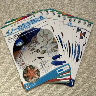 美ら海水族館 観察ガイド 10枚(印刷物)