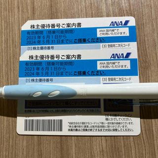 エーエヌエー(ゼンニッポンクウユ)(ANA(全日本空輸))のANA株主優待　2枚(航空券)