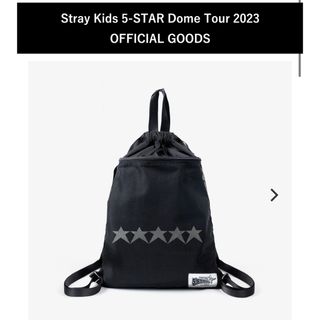 ストレイキッズ(Stray Kids)のStray Kids  スキズ　ナップサック　(アイドルグッズ)