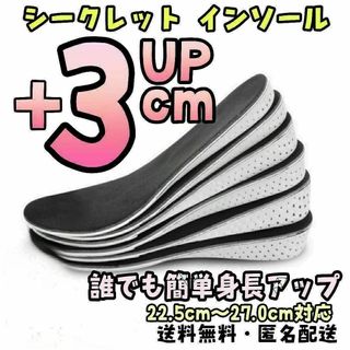 【3㎝】 シークレット インソール 22.5cm～27.0cm a3(その他)