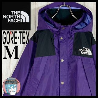 ザノースフェイス(THE NORTH FACE)の【即完売モデル】ノースフェイス マウンテンパーカー 超希少カラー ゴアテックス(マウンテンパーカー)