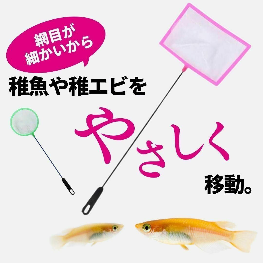 密網 角型 丸型 ごみ取りネット ２本セット 水槽 熱帯魚 金魚 メダカ 掃除 その他のペット用品(アクアリウム)の商品写真