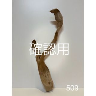 流木【509】(各種パーツ)