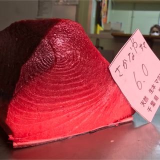 ゆう様専用　生本鮪1キロ国内産　(魚介)