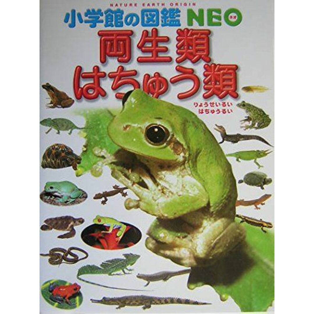 小学館の図鑑NEO 両生類・はちゅう類 (小学館の図鑑・NEO 6) エンタメ/ホビーの本(語学/参考書)の商品写真