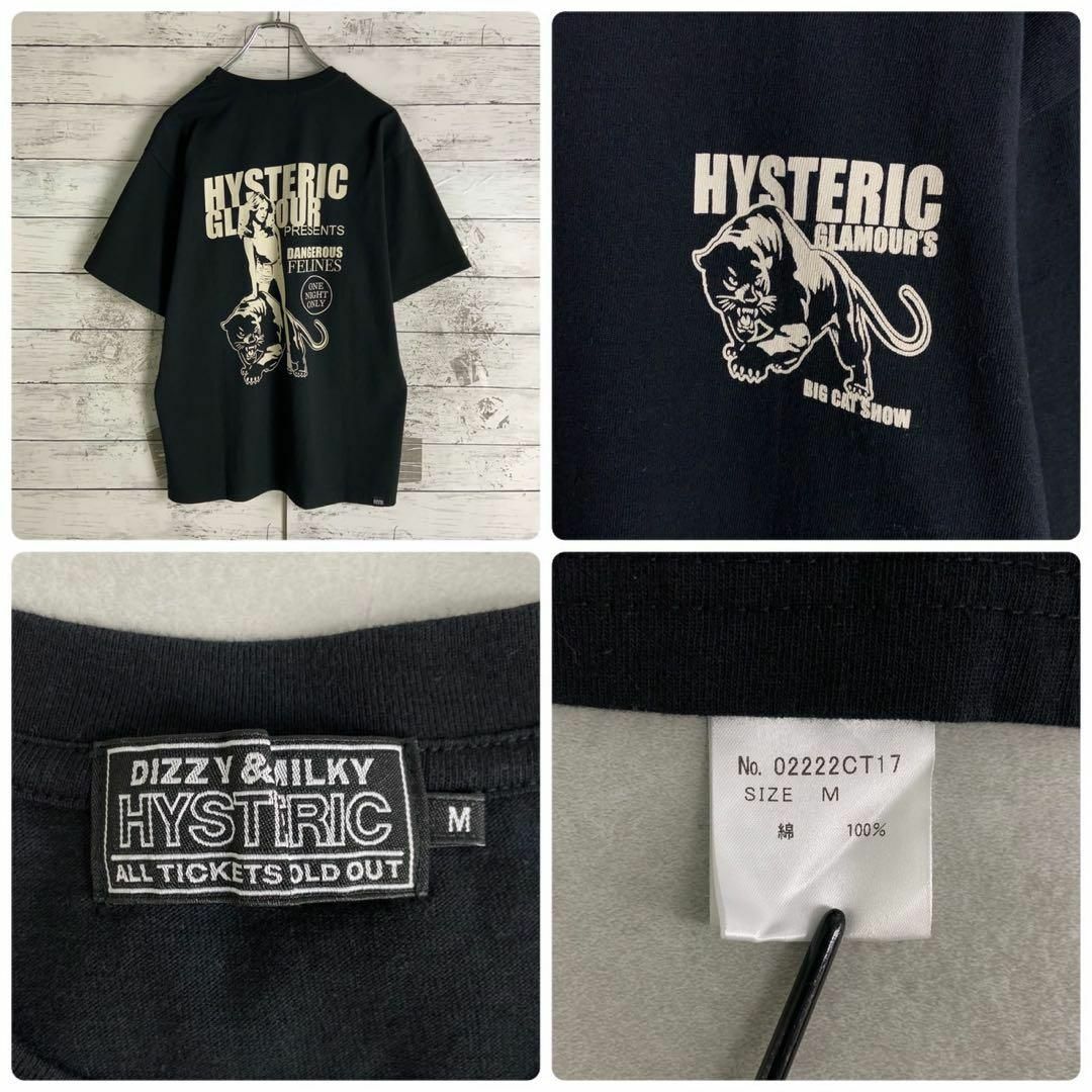 HYSTERIC GLAMOUR(ヒステリックグラマー)の8992【希少デザイン】ヒステリックグラマー☆ヒスガール定番カラーtシャツ　美品 メンズのトップス(Tシャツ/カットソー(半袖/袖なし))の商品写真