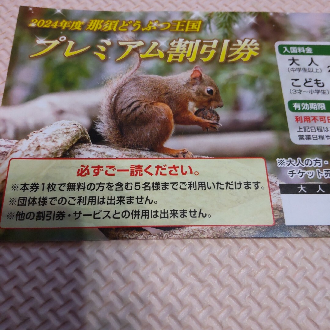 那須どうぶつ王国 チケットの施設利用券(動物園)の商品写真