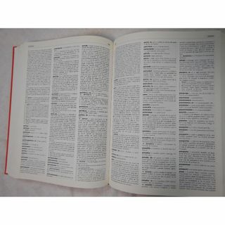 新品未読　大きい洋書切り離し　全100頁（フランス語　スペイン語　辞書）(洋書)