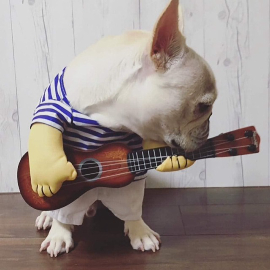 新品 犬 犬服 ギター 二足歩行 コスチューム 変身 コスプレ 小型犬用 猫用 ハンドメイドのペット(ペット服/アクセサリー)の商品写真
