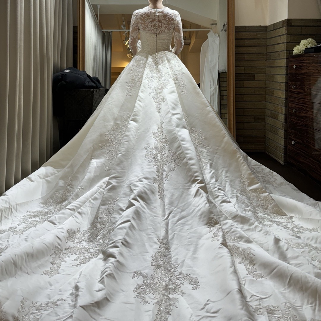 Vera Wang(ヴェラウォン)のウェディングドレス　pronovias niquel 結婚式 レディースのフォーマル/ドレス(ウェディングドレス)の商品写真