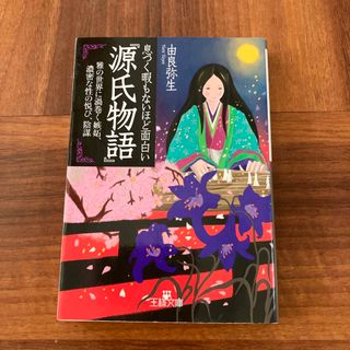 息つく暇もないほど面白い『源氏物語』(その他)