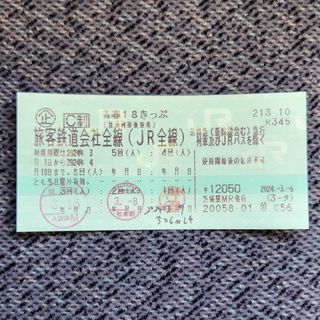 ☆ぴこ様専用青春18きっぷ2回分　返却不要(鉄道乗車券)