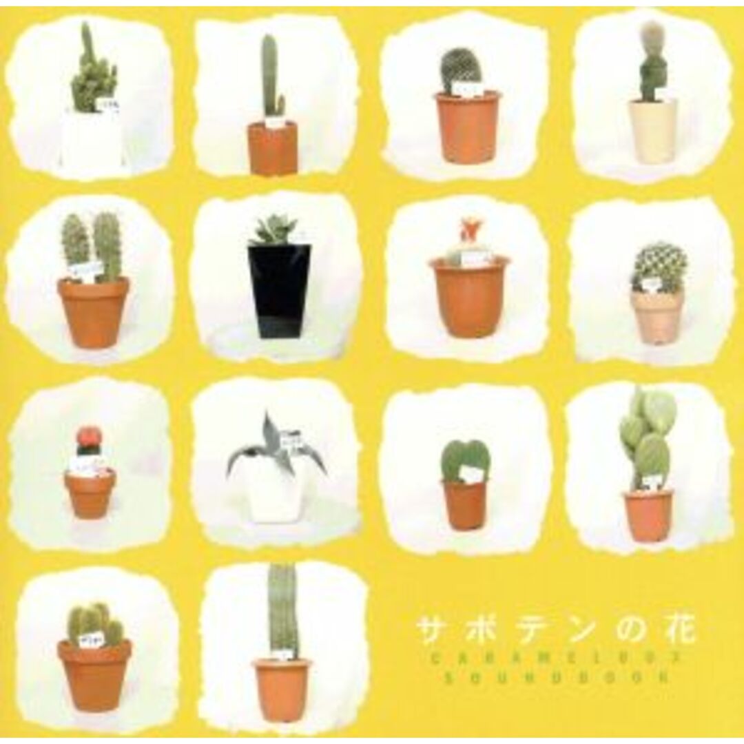 サボテンの花　ＣＡＲＡＭＥＬＢＯＸ　ＳＯＵＮＤＢＯＯＫ エンタメ/ホビーのCD(テレビドラマサントラ)の商品写真