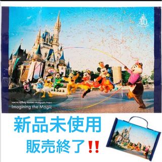 Disney - ☆新品未使用☆ディズニー 40周年 実写 レジャーシート