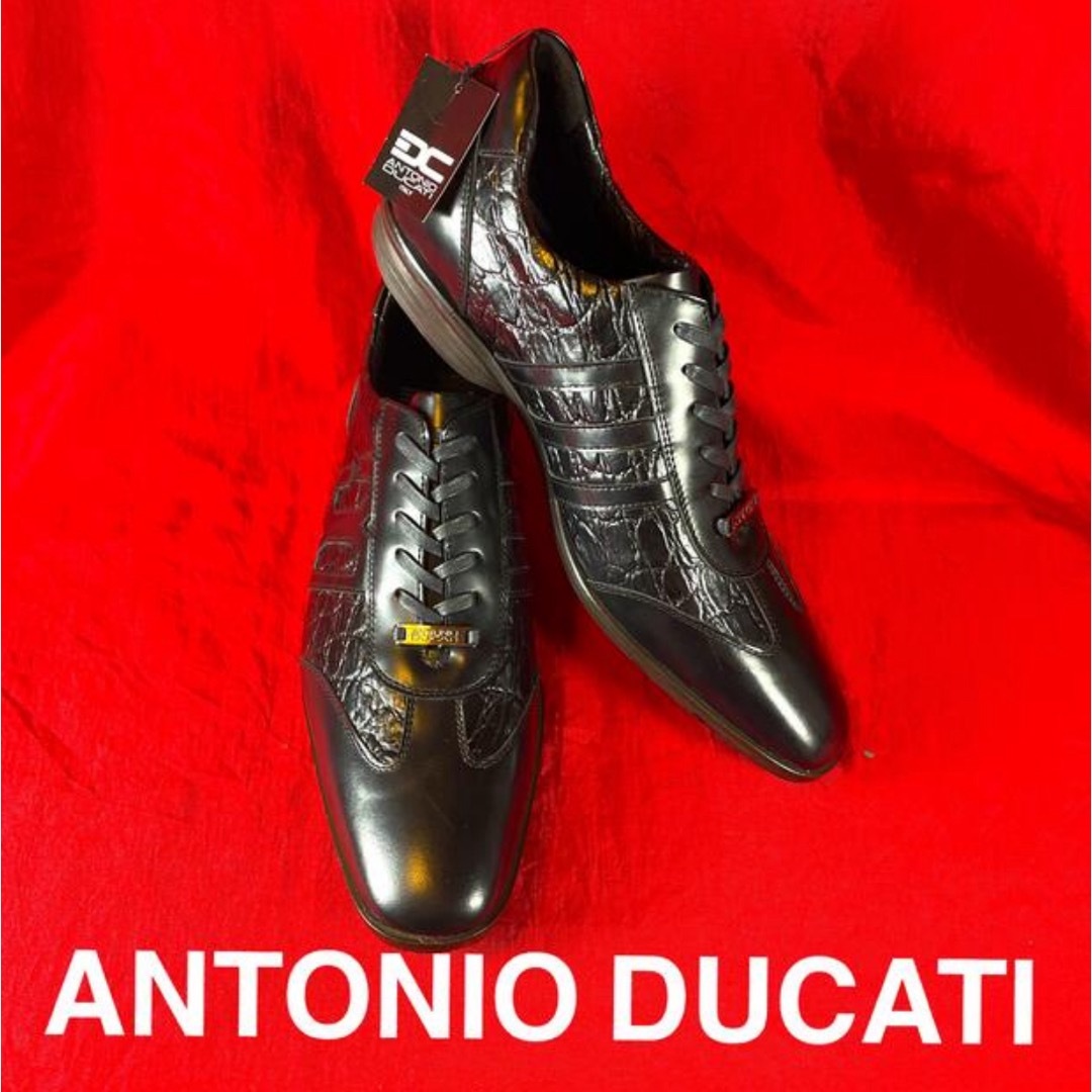ANTONIO DUCATI(アントニオデュカティ)の新品、タグ付き【ANTONIO DUCATI】本革シューズ メンズの靴/シューズ(ドレス/ビジネス)の商品写真