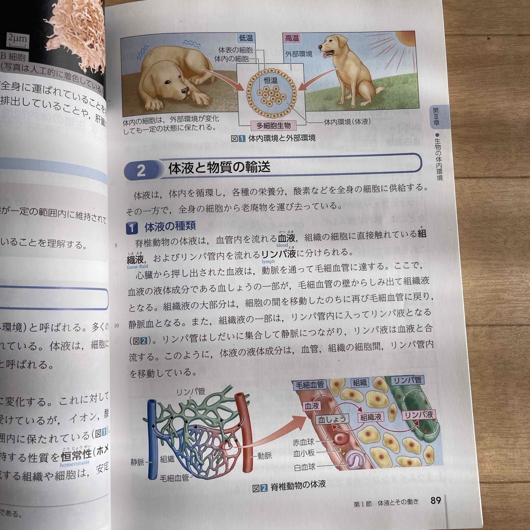 教科書　生物　高校 エンタメ/ホビーの本(語学/参考書)の商品写真