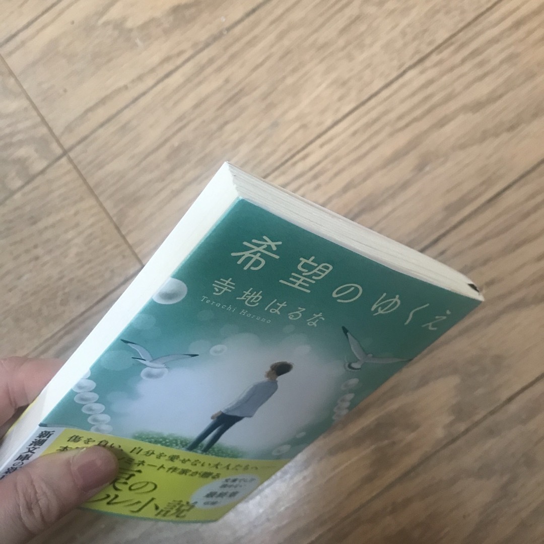 希望のゆくえ エンタメ/ホビーの本(文学/小説)の商品写真