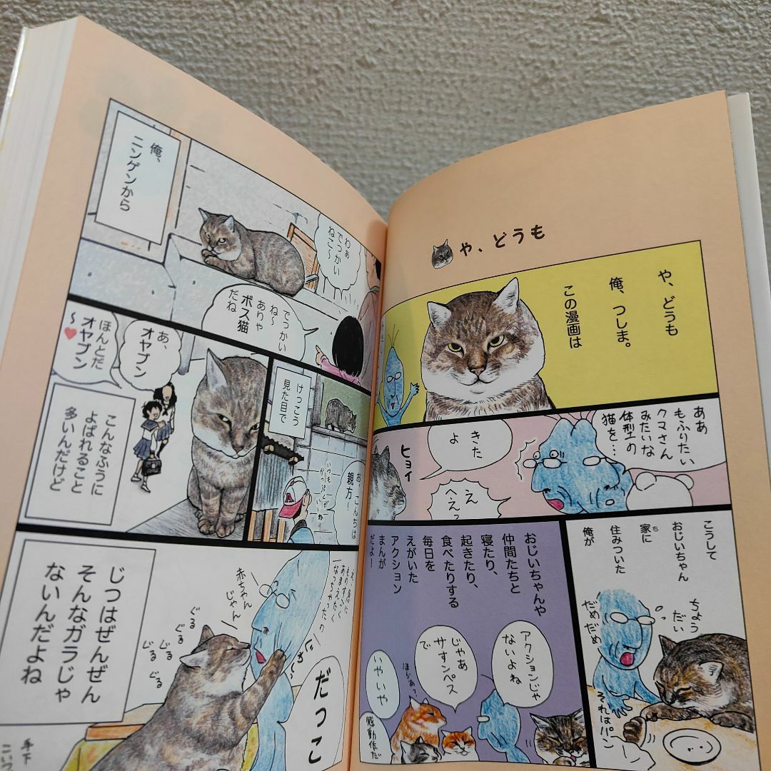 小学館(ショウガクカン)の『 俺、つしま 3 』◇ おぷうのきょうだい / 猫 ネコ × 漫画 / カラー エンタメ/ホビーの漫画(その他)の商品写真