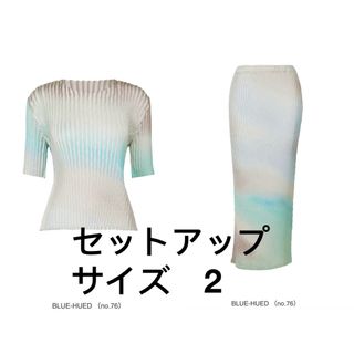 ISSEY MIYAKE - 新作3月限定　ISSEY MIYAKE セットアップFG626 FJ629