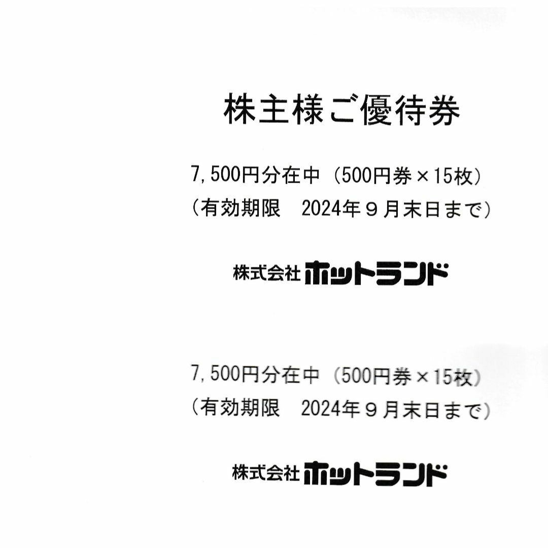 ホットランド株主優待券15000円分(500円券×30枚) 銀だこ ホットランド株主優待券15000円分(500円券×30枚) 銀だこ