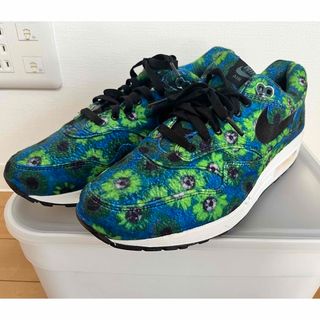 ナイキ(NIKE)のNIKE airmax 1 FLORAL MOWABB(スニーカー)