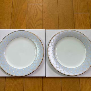 ノリタケ(Noritake)のドクターシーラボ　ノリタケコラボリムプレート　ブルー2枚セット(食器)