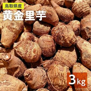 【鳥取県産】黄金里芋 大和芋 宅急便 3kg さといも サトイモ 山芋(野菜)