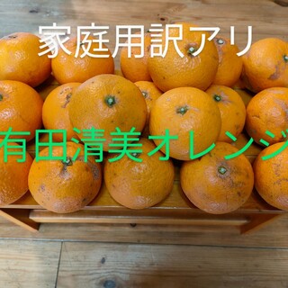 和歌山県有田産清美オレンジ、訳あり、大小混合一箱5キロ。(フルーツ)