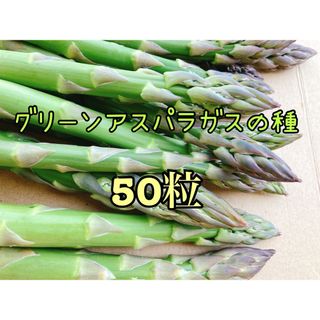 アスパラ 種 50粒(その他)