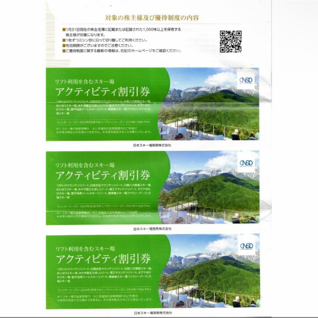 日本駐車場開発　株主優待 チケットの施設利用券(スキー場)の商品写真