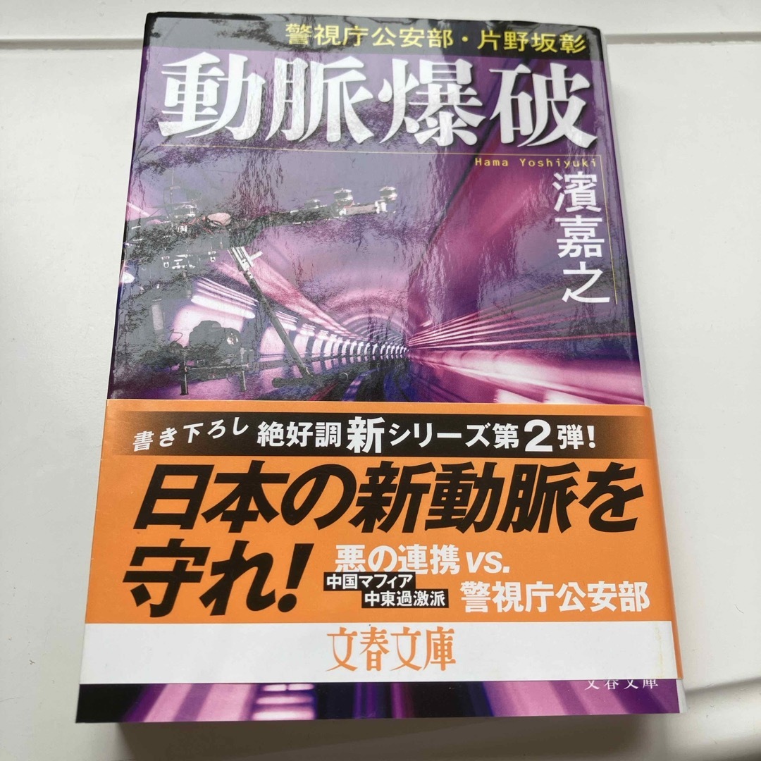 動脈爆破 エンタメ/ホビーの本(その他)の商品写真