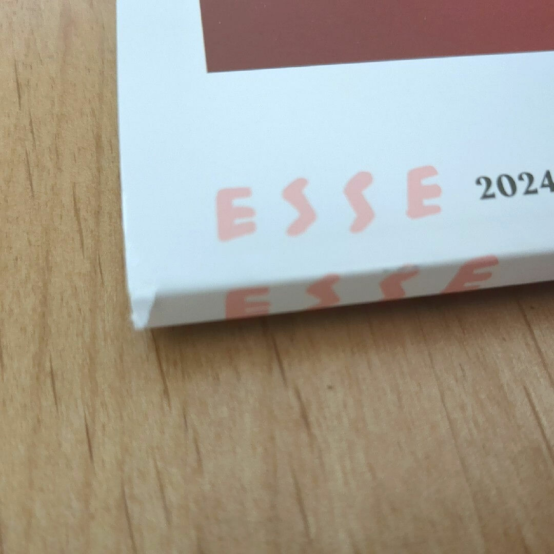 ESSE (エッセ) 2024年 04月号 [雑誌] エンタメ/ホビーの雑誌(生活/健康)の商品写真