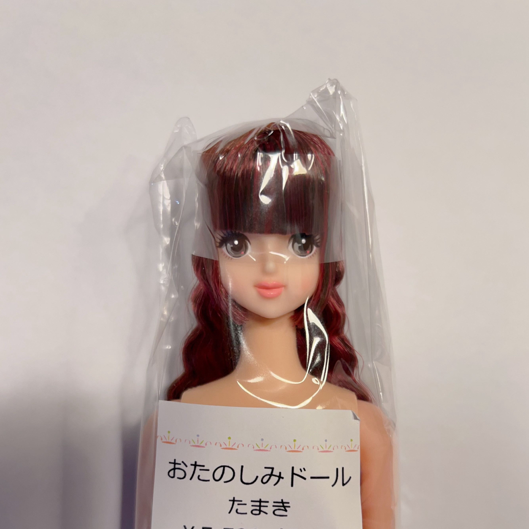 アイシードール カスタム ブライス 人形 白肌 ベージュ ブロンド アイシードール カスタム ブライス 人形 白肌 ベージュ ブロンド