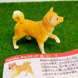 フルタセイカ(フルタ製菓)のチョコエッグ　食玩　動物シリーズ 新ペット編　04 柴犬（赤）(その他)