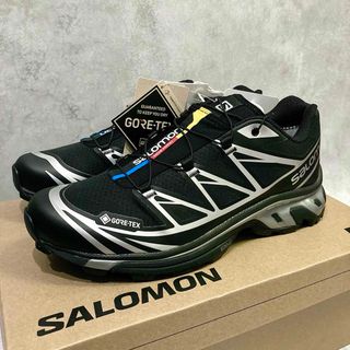 サロモン(SALOMON)の25.5cm 新品正規品 Salomon XT-6 GORE-TEX(スニーカー)