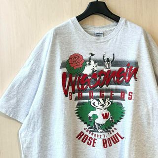 ヴィンテージ(VINTAGE)の90s USA製古着　ヴィンテージ　Tシャツ　ウィスコンシン　バッキー　霜降(Tシャツ/カットソー(半袖/袖なし))