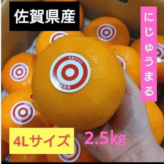 佐賀県産絶品みかん【にじゅうまる】高糖度13度超え  6玉 試食したい方(フルーツ)