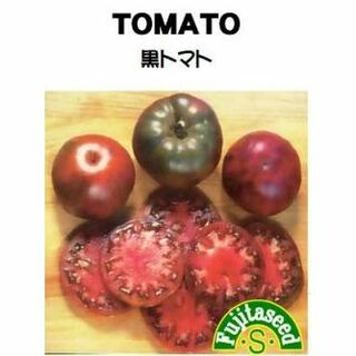 ＜野菜の種＞黒トマト　２０粒　ブラック　たね(プランター)
