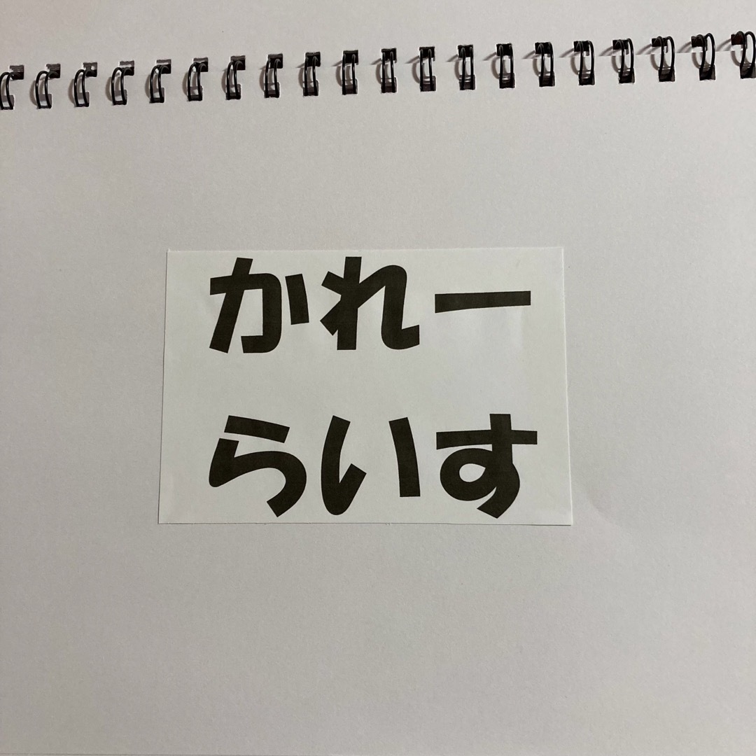 スケッチブックシアター キャベツの中から、カレーライス、5つのメロンパン ハンドメイドのハンドメイド その他(その他)の商品写真