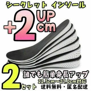 【2足セット2㎝】 シークレット インソール 22.5cm～27.0cm(スニーカー)