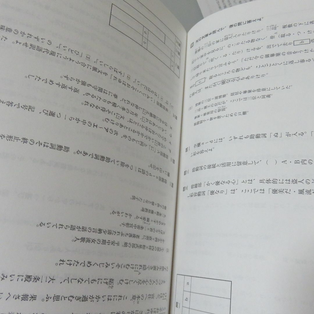 高校新演習スタンダード古典Ⅱ エンタメ/ホビーの本(語学/参考書)の商品写真